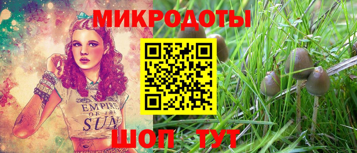 Галлюциногенные грибы GOLDEN TEACHER  Псилоцибиновые грибы прущие грибы  Вход с VPN  магазин  наркотиков  Артём 